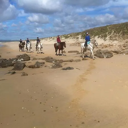 Luxury 2 Apartamento