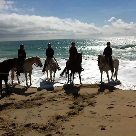 Apartamento Luxury 2 Fuengirola