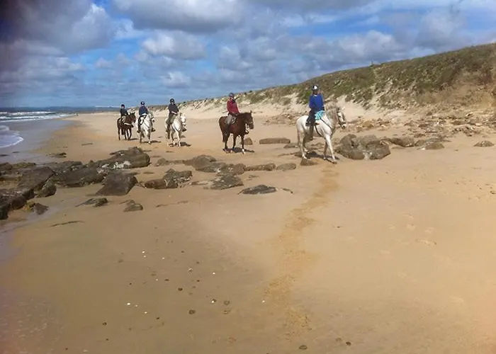 Luxury 2 Appartement